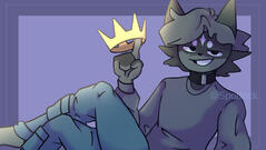 Shaded - 13€